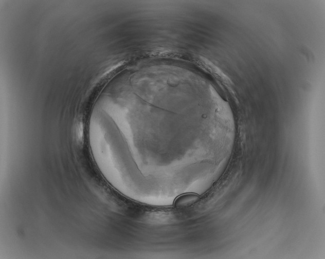 X0000113110067200909181637