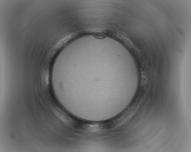 X0000113110068200909181637