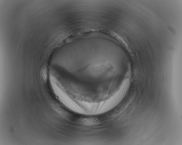 X0000113110069200909181637