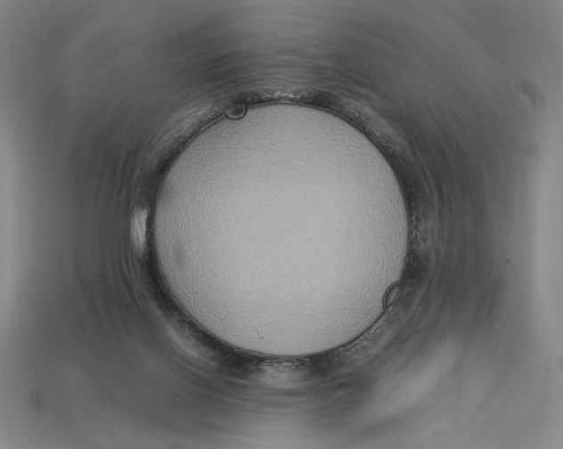 X0000113110070200909181637