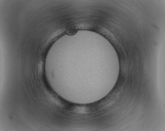 X0000113110071200909181637