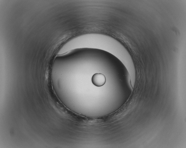 X0000113110072200909181637
