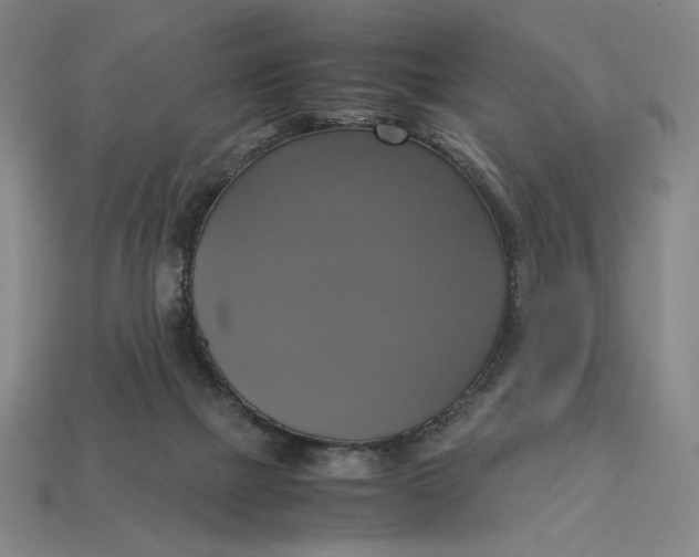 X0000113110073200909181637