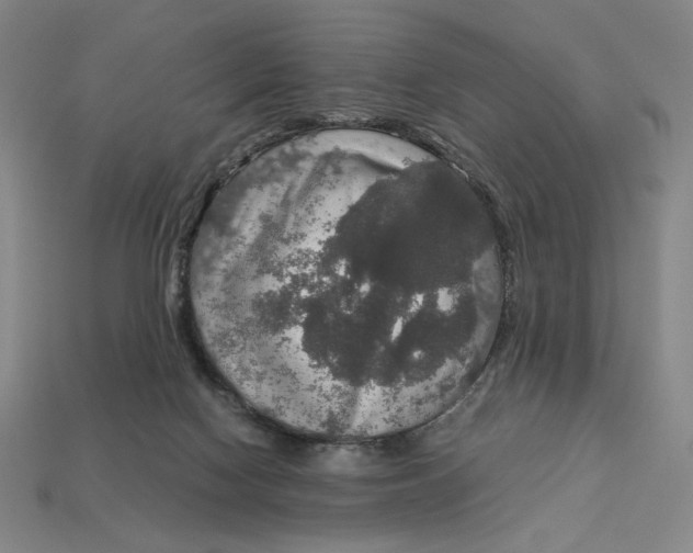 X0000113110074200909181637