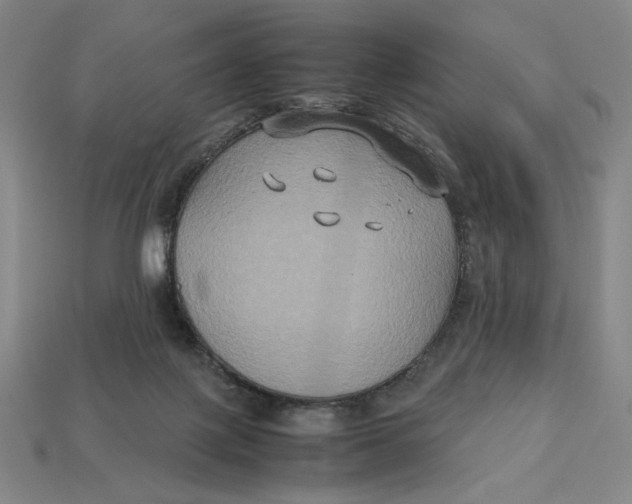 X0000113110075200909181637