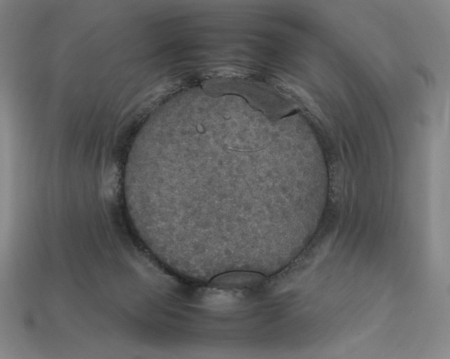 X0000113110077200909181637