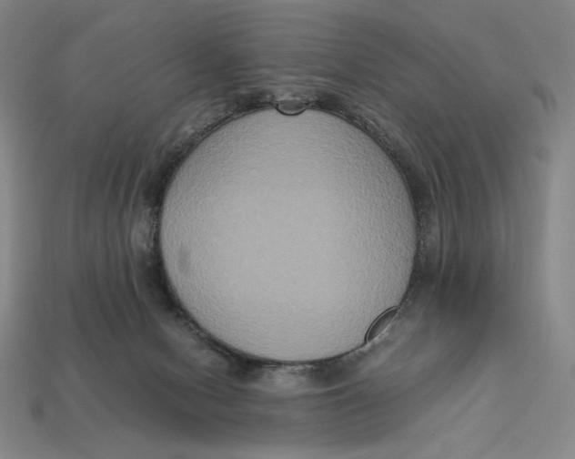 X0000113110078200909181637