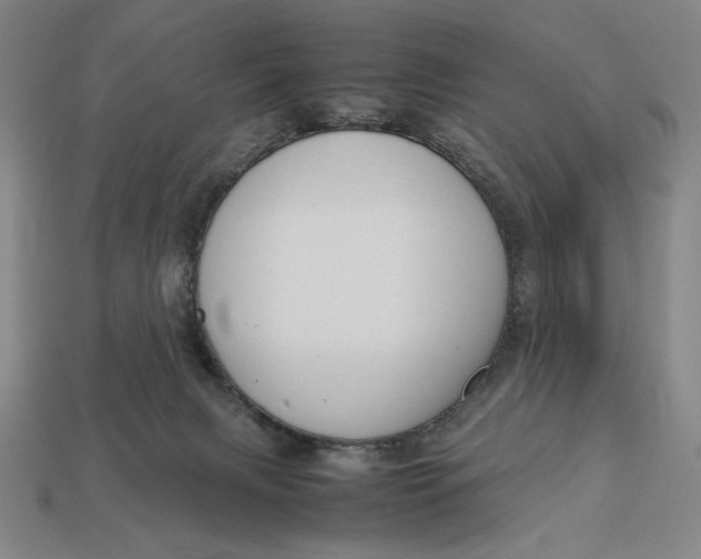 X0000113110079200909181637