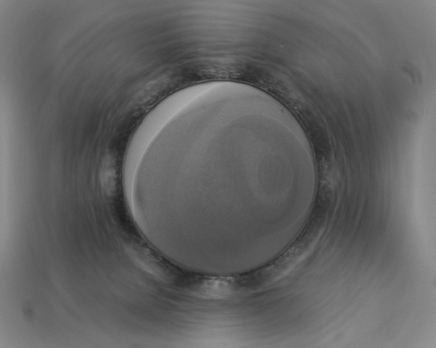 X0000113110080200909181637