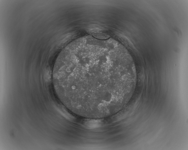 X0000113110081200909181637