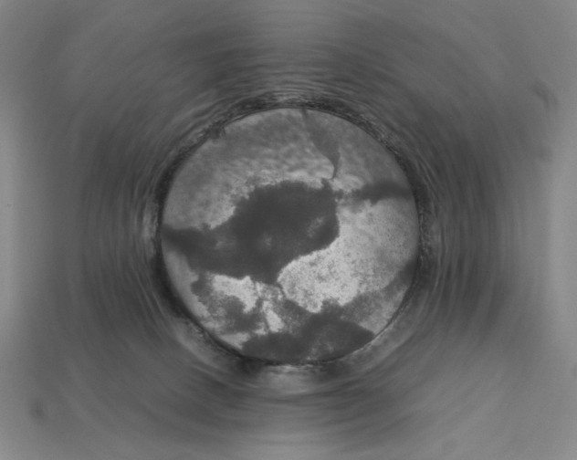 X0000113110082200909181637