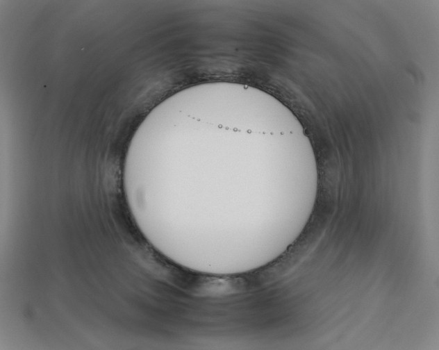 X0000113110083200909181637