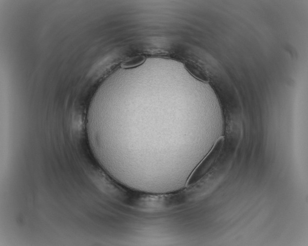 X0000113110084200909181637