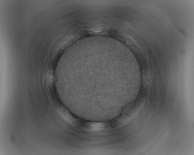 X0000113110085200909181637