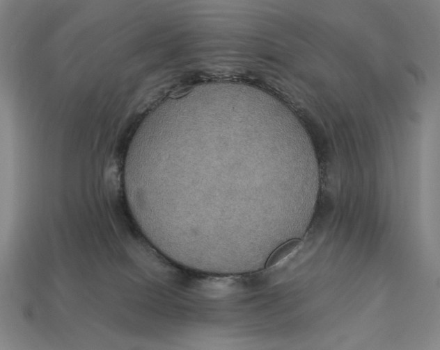 X0000113110086200909181637