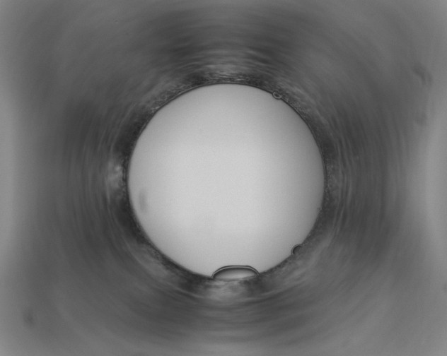X0000113110087200909181637