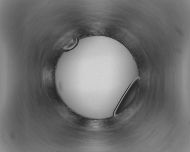 X0000113110088200909181637
