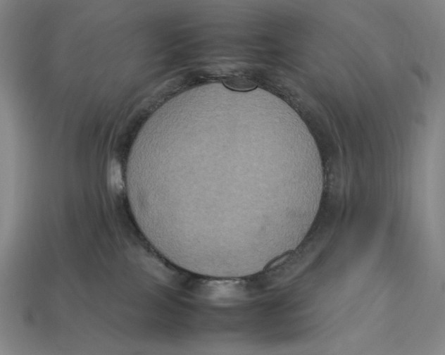 X0000113110089200909181637