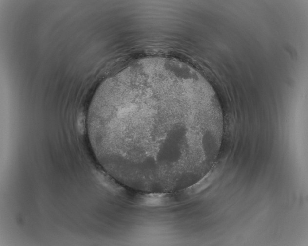 X0000113110090200909181637
