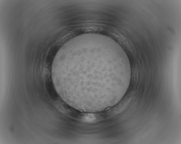 X0000113110091200909181637