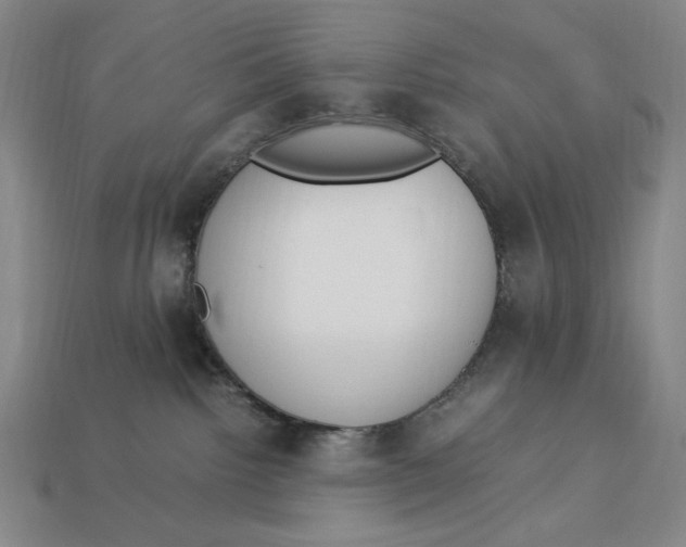 X0000113110092200909181637
