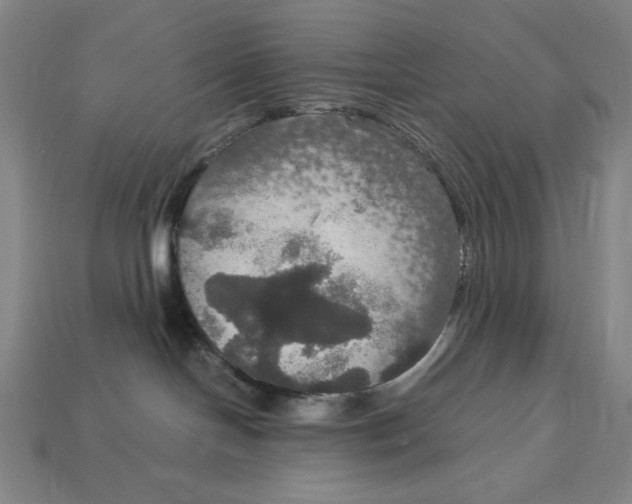 X0000113110094200909181637