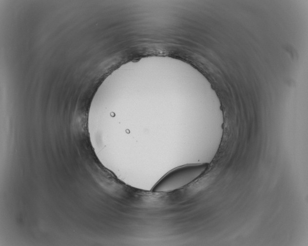 X0000113110096200909181637