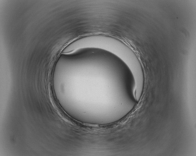 X0000113110097200909181636