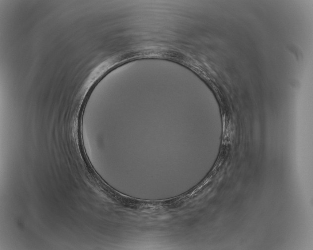 X0000113110099200909181636