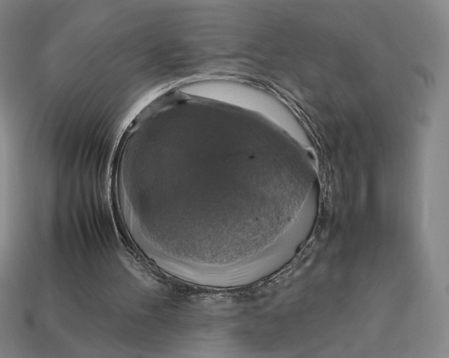 X0000113110100200909181636