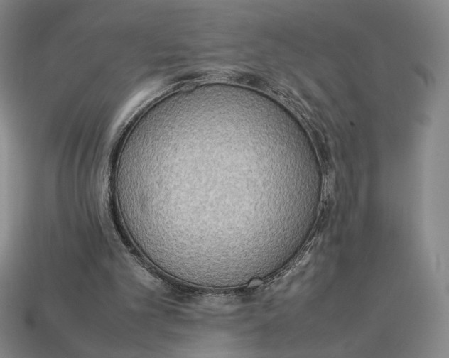 X0000113110101200909181636