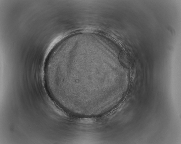 X0000113110102200909181636