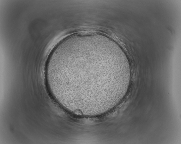 X0000113110103200909181636