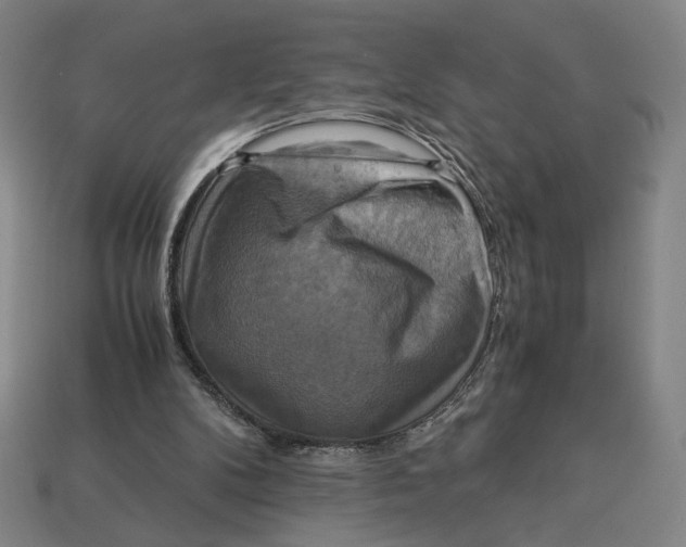 X0000113110104200909181636