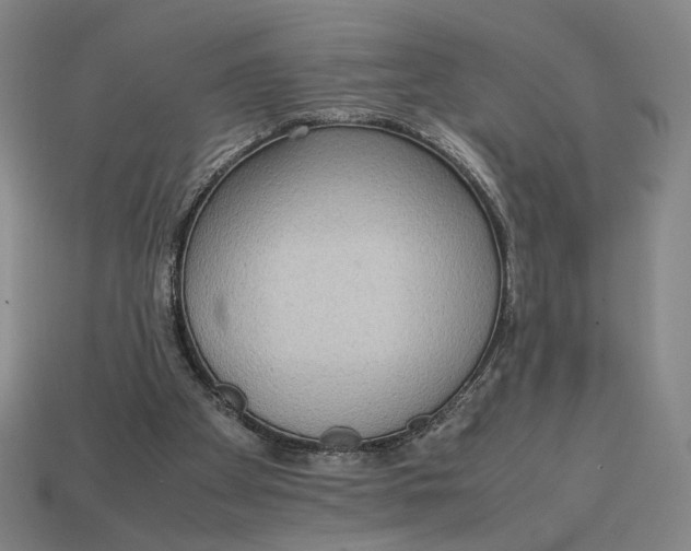 X0000113110105200909181636