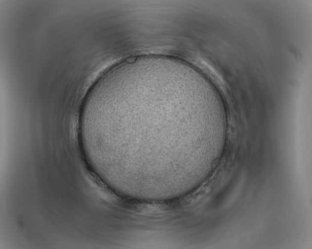 X0000113110107200909181636