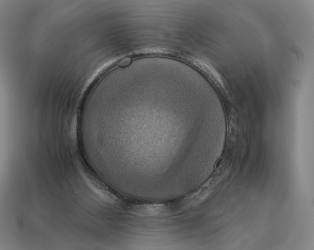 X0000113110108200909181636
