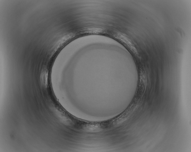 X0000113110110200909181636