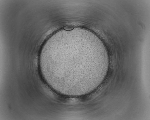 X0000113110111200909181636