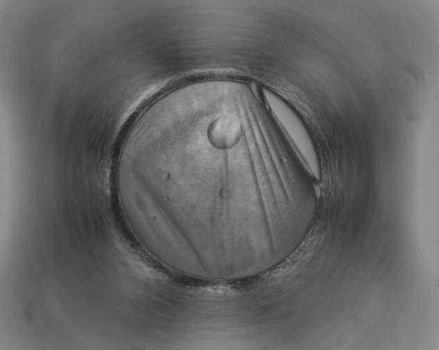 X0000113110112200909181636