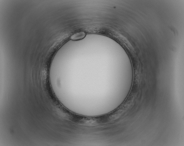 X0000113110113200909181636