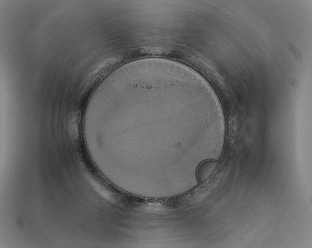 X0000113110114200909181636