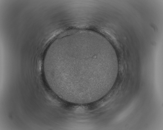 X0000113110115200909181636