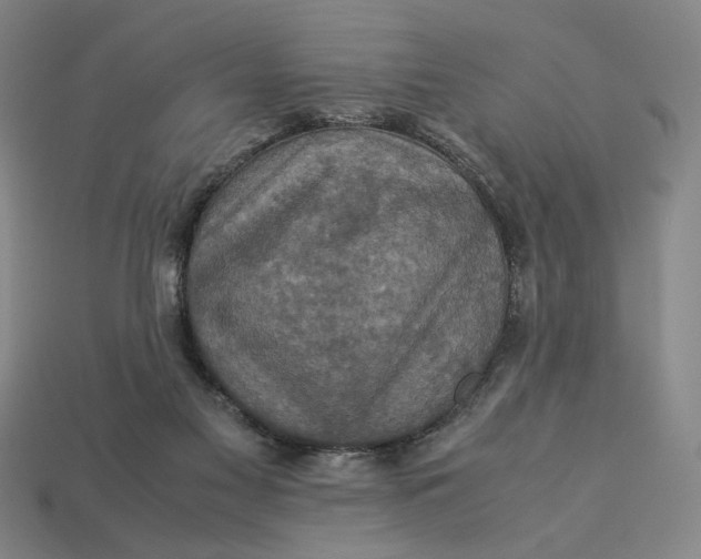 X0000113110117200909181636