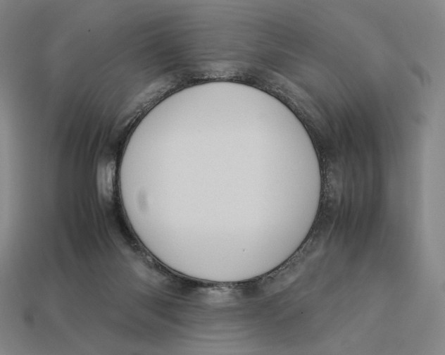 X0000113110118200909181636