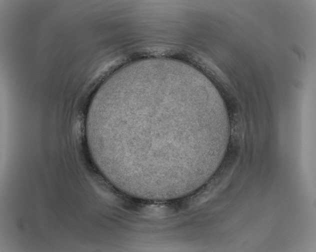 X0000113110119200909181636