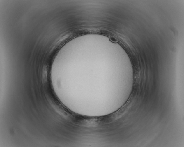 X0000113110120200909181636
