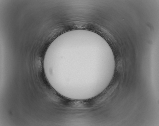 X0000113110121200909181636