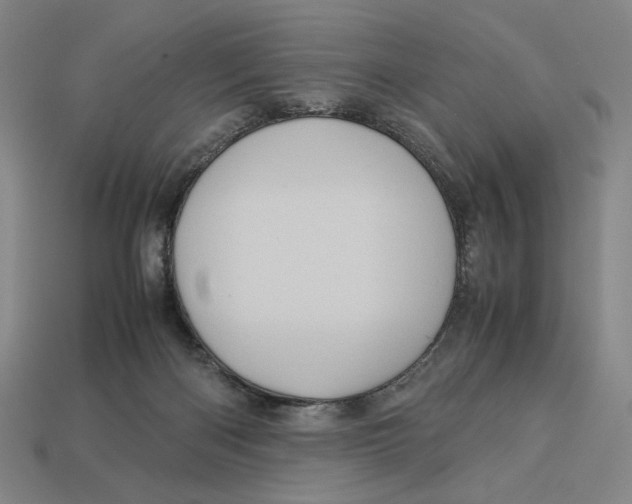 X0000113110122200909181636