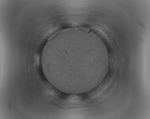 X0000113110123200909181636